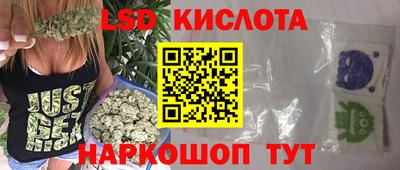 сатива Новодвинск