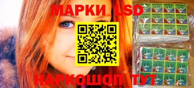 МДПВ Новокубанск