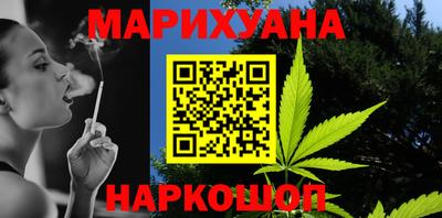 сатива Новодвинск