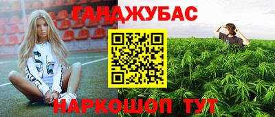 сатива Новодвинск