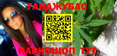сатива Новодвинск