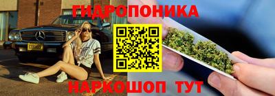 сатива Новодвинск