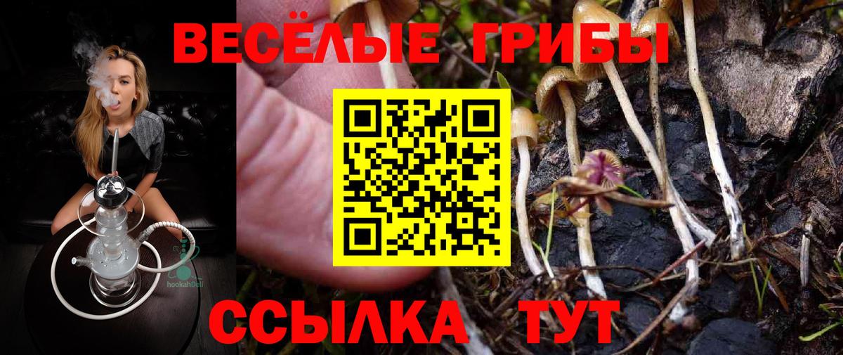 Псилоцибиновые грибы мухоморы Шелехов