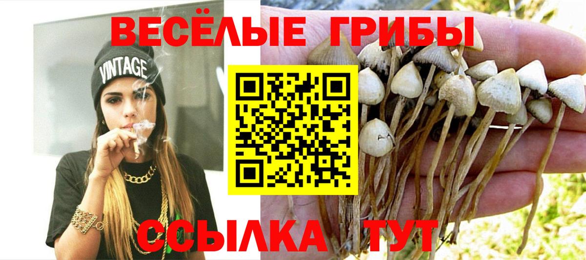 Псилоцибиновые грибы MAGIC MUSHROOMS  Вход с VPN  Псилоцибиновые грибы мицелий  Шелехов 
